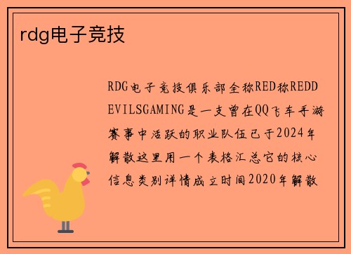 rdg电子竞技